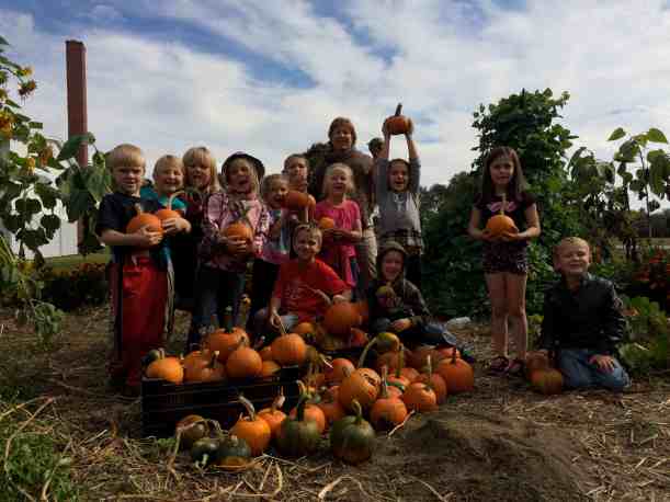 Pumpkin Harvesters